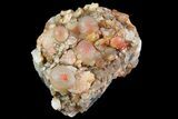 Red, Botryoidal Grape Agate - Utah #70128-1